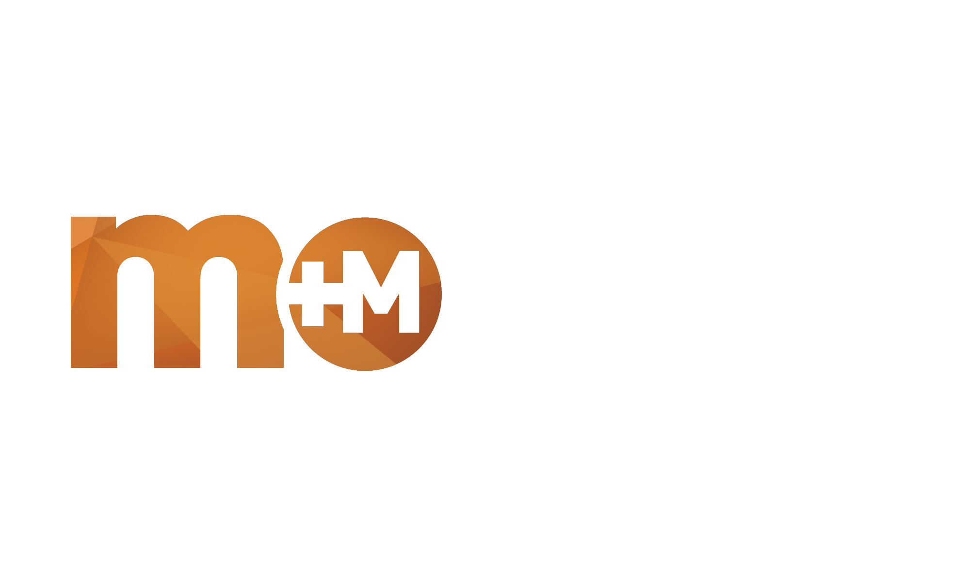 MM Information Technologies